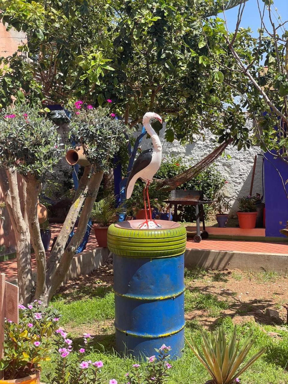 Villa Salma Oualidia Buitenkant foto
